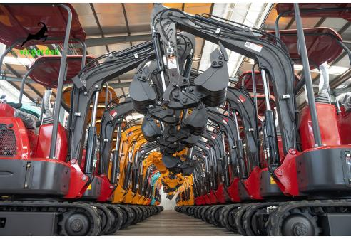 successful acceptance of 30 mini excavators by our African friends